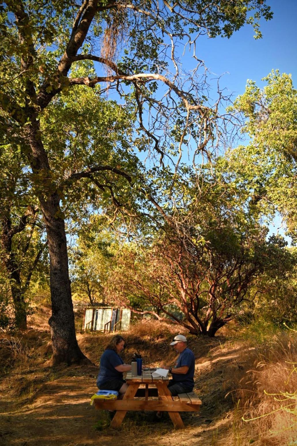 Campground At Sequoia Mountain Farms - Bring Your Own Tent Or Rv - No Bedrooms Or Beds Provided Miramonte المظهر الخارجي الصورة