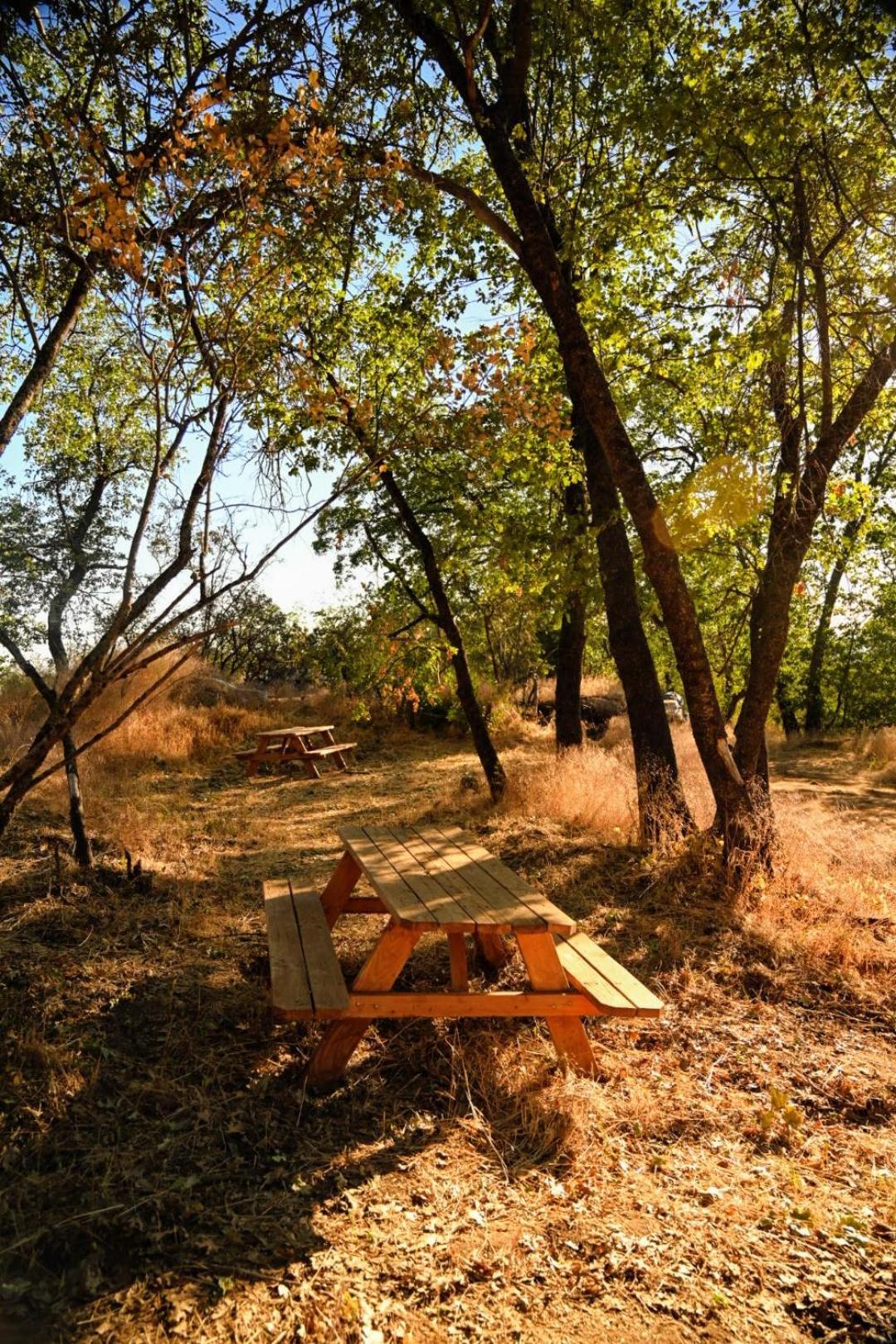 Campground At Sequoia Mountain Farms - Bring Your Own Tent Or Rv - No Bedrooms Or Beds Provided Miramonte المظهر الخارجي الصورة